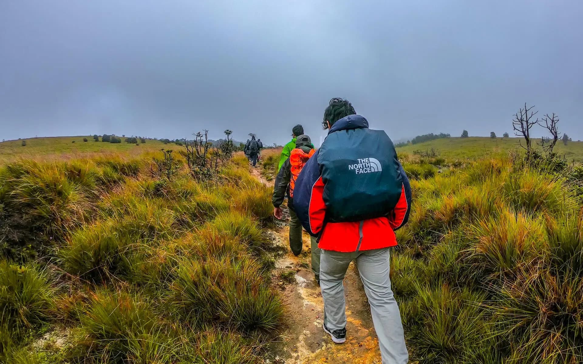 Sri Lanka's Second Highest Mountain – Kirigalpoththa ⛰️🍃