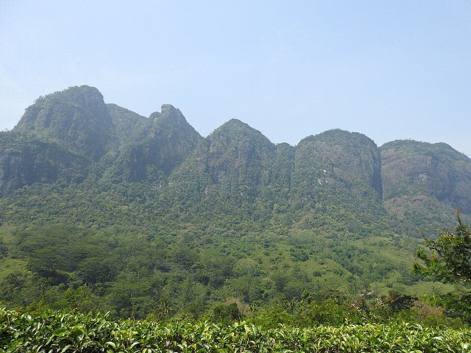 Whispers in the Mist: Hiking the Seven Virgins (Saptha Kanya)