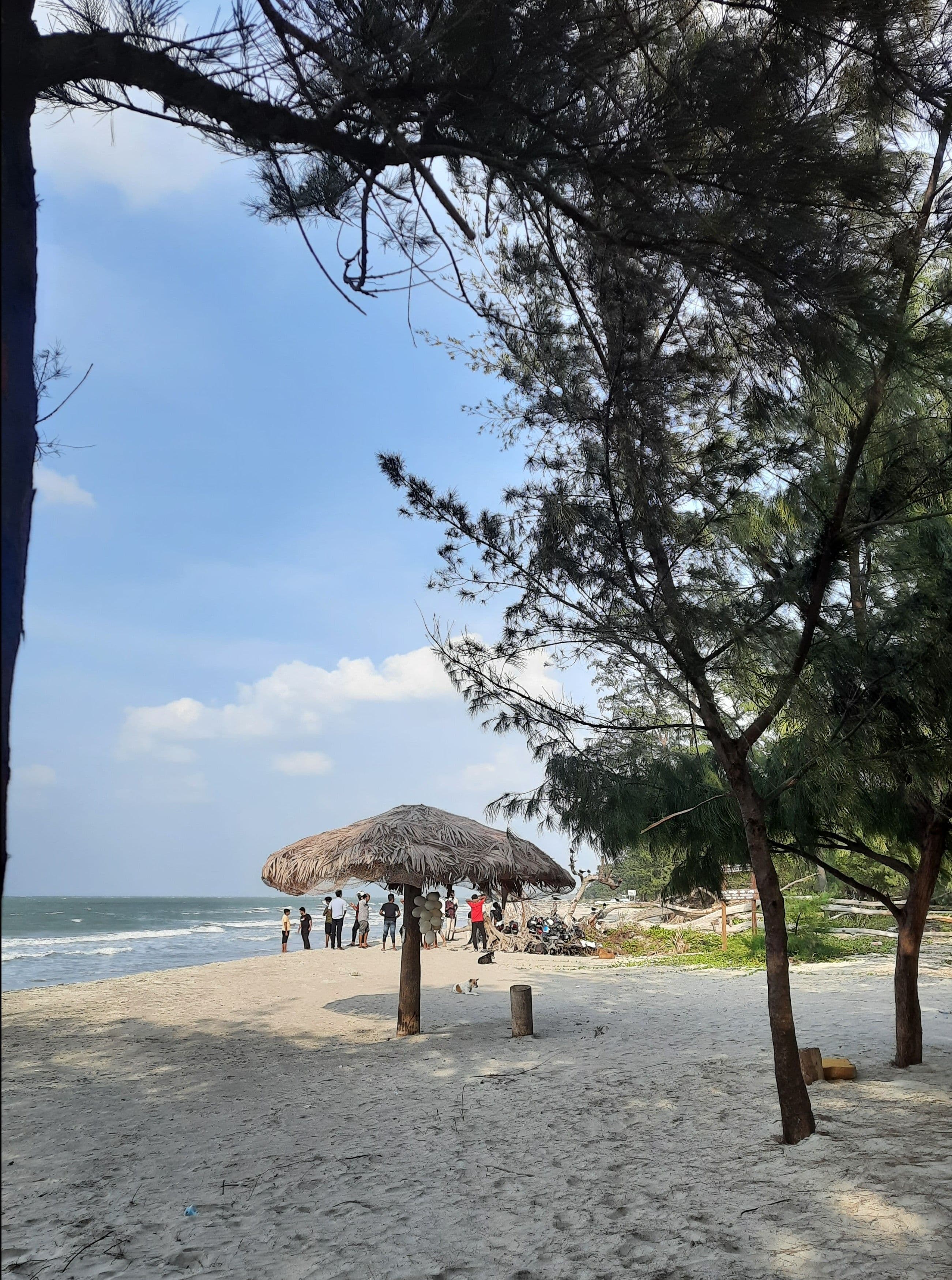 A Local’s View: Exploring Sri Lanka’s Northern Roads and Hidden Beaches
